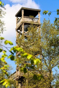 aussichsturm-taubenberg4