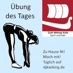 DJKWiking_Übung-des-Tages