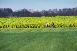 Fahrradfahrt_Bowinkelmann